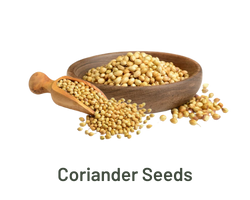 coriander-exporter