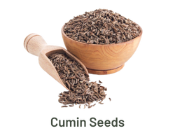 cumin-seeds-exporter