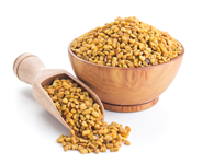 Fenugreek Seeds