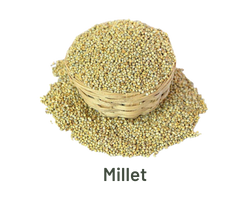millet-exporter