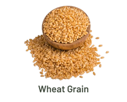wheat-exporter