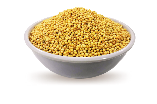yellow_mustard